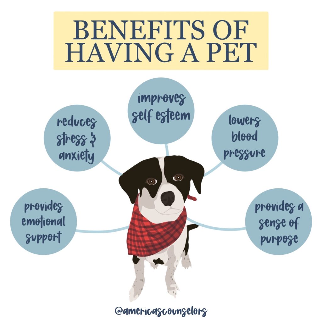 Benefits of Having a Pet