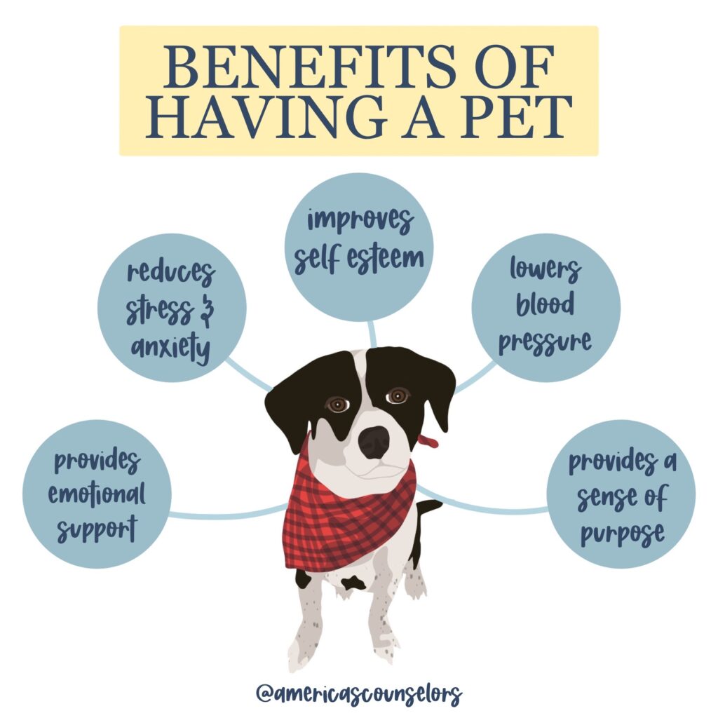 Benefits Of Having A Pet